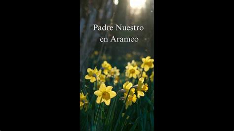 Padre Nuestro En Arameo Youtube