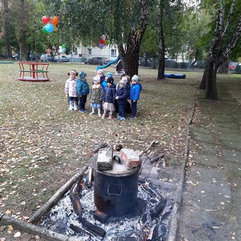 Dzie Pieczonego Ziemniaka Przedszkole Nr Bajka W Myszkowie