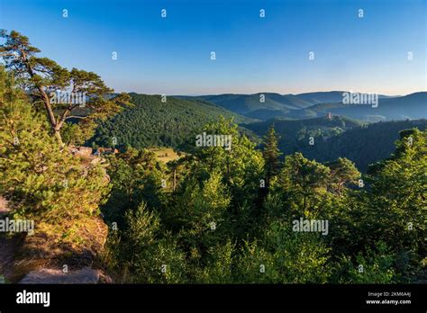 Lembach Castillo De Fleckenstein En La Reserva De La Biosfera Bosque