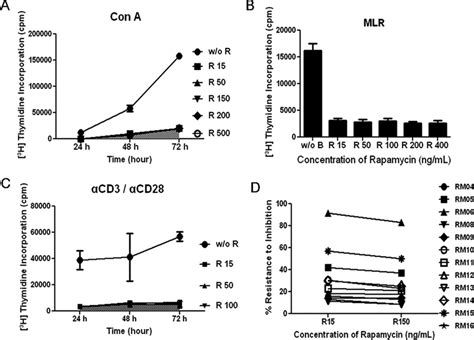 Rapamycin Allows Marginal Levels Of Proliferation Even At Doses Greater