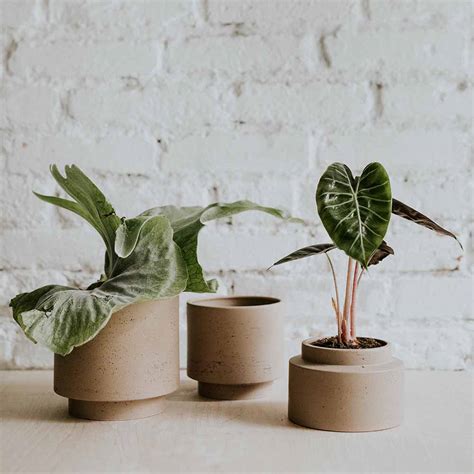 Pot Pour Plante En Porcelaine URBAN Coloris SOFT LATTE LAPADD