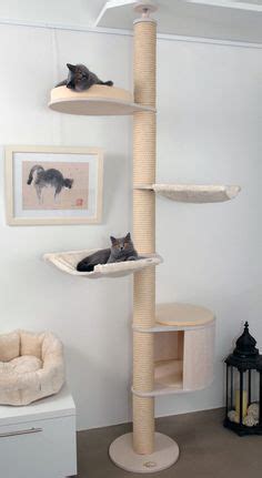 Ideas De Camas De Gato Casita Para Gatos Cuarto Para Gatos Camas