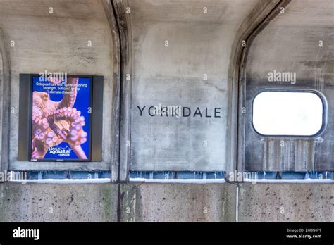 Sign For The Yorkdale Subway Station A Sign For The Ripley S Aquarium And A Window Are Also