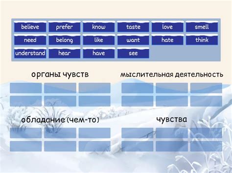 Stative Verbs Group Sort