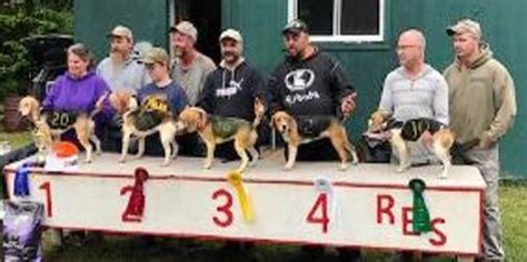 Lachute Beagle Club September 14 15 2019 Canadian Beagler