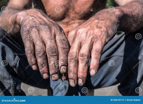 Worker Hands Man Showing Dirty Hands Palms Down Stock Photo Image