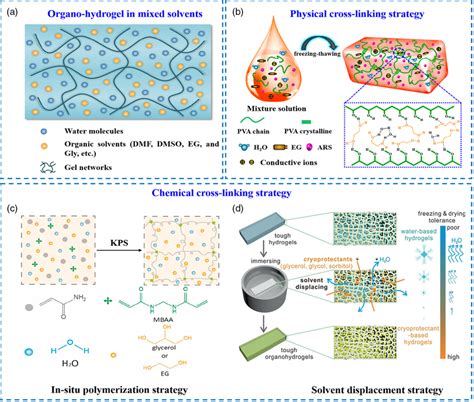 A Synthesis Route Of The Ethylene Glycol Eg Modified Organo Hydrogel