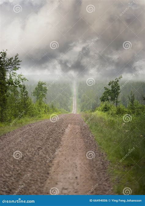 Narrow Dirt Path With Stones Between Trees And Vegetation In The Forest