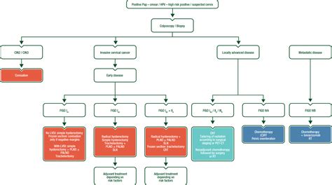 Cervical cancer: ESMO Clinical Practice Guidelines for diagnosis ...