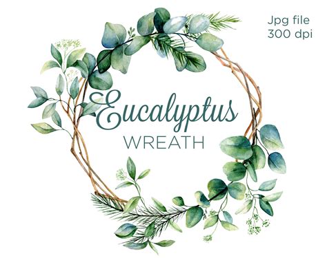 Eucalyptus Watercolor Wreath Branches And Leaves Etsy