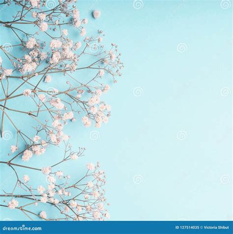 Light Blue Flower Background Design