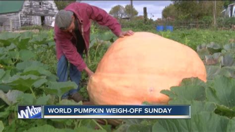 Growing A Giant Pumpkin Behind The Scenes Youtube