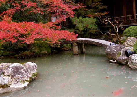 5 Types Of Authentic Japanese Garden Design You Should Know