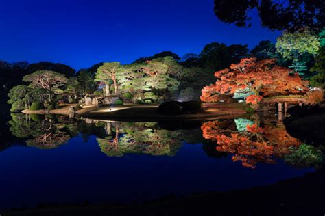 東京の紅葉名所19選！都会の真ん中で燃えるような紅葉を楽しもう！