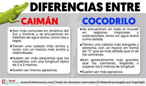 Diferencias entre Caimán y Cocodrilo