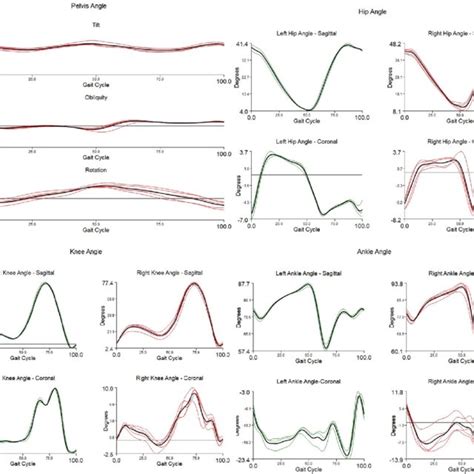 Descriptive Kinematic Parameters From Left And Right Sides Extracted