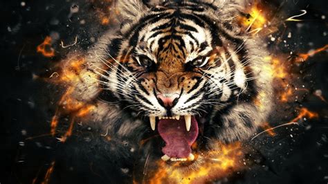 Tiger Roar Wallpapers - Top Free Tiger Roar Backgrounds - WallpaperAccess