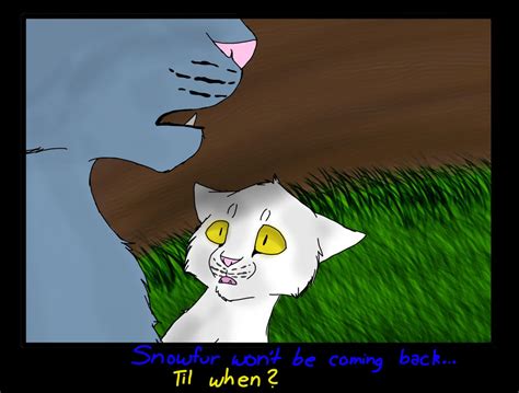 .: Snowfur isn't coming back...:. by BLACKBLOOD-QUEEN on DeviantArt