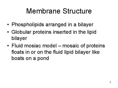 Membranes Chapter 5 Membrane Structure Phospholipids arranged in