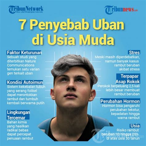 Infografis Penyebab Uban Di Usia Muda Foto Tribunnews