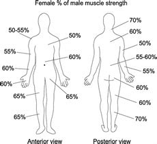 Narrative Review Of Sex Differences In Muscle Strength Endu The Journal Of Strength