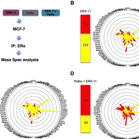 Erx Palbociclib Treatment Alters Er Interactions With Coregulators