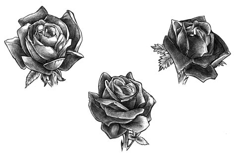 Black Rose Tattoo Designs Ideas Photos Images Popular Top Tattoos