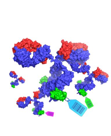 Simple Fast Site Specific Antibody Labeling Reagents Alphathera