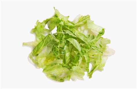 Shredded Lettuce Transparent Background Hd Png Download Kindpng