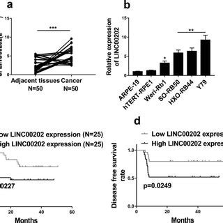 Linc Is Up Regulated In Rb And High Linc Level Predicts Poor