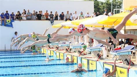 Fpn Federa O Portuguesa De Nata O