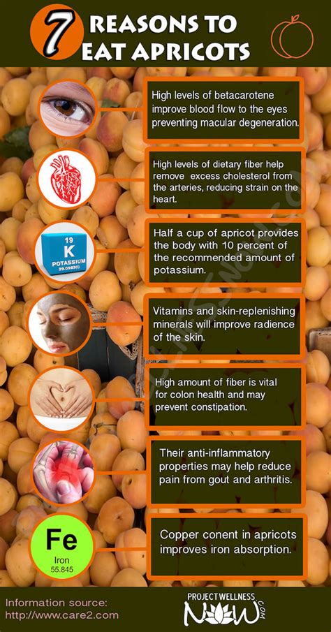 7 Reasons To Eat Apricots Project Wellness Now