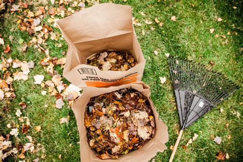 Collectes De Feuilles Mortes Seuls Les Sacs En Papier Seront Ramass S