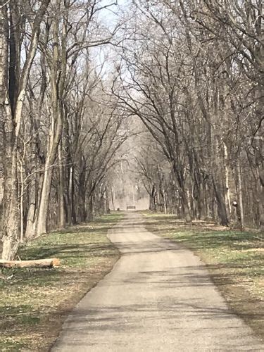 Best Wheelchair Friendly Trails In Hamlet Park Alltrails