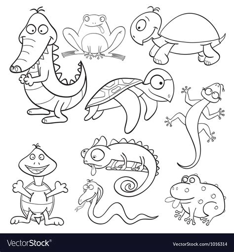 Coloring Pages Of Amphibians And Reptiles