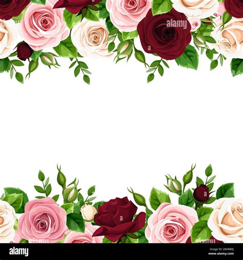 Vector horizontal seamless frame with burgundy, pink and white roses on ...