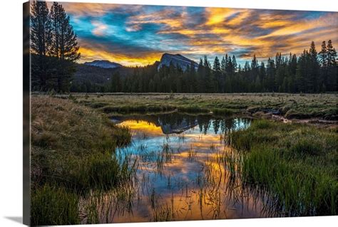 Tuolumne Meadows Sunrise | Great Big Canvas