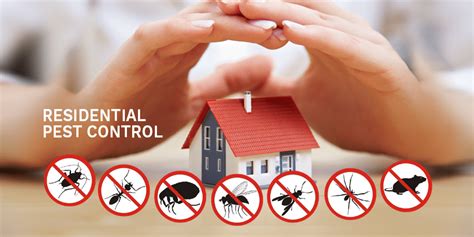 Green Pest Control Services Pest Control Services In Dubai