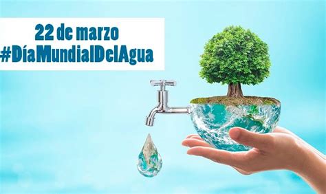 DÍa Mundial Del Agua Cese Consultores