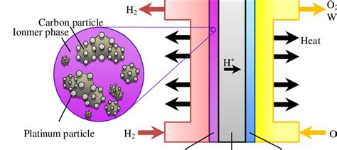 Scheme Of A Pemfc And Electrocatalyst Layer Cathode Anode Download