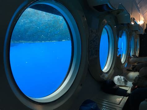 Exploring Charms Under The Sea With Atlantis Submarines Barbados