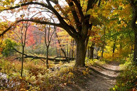 Discover the Top 15 Indiana Dunes Hiking Trails