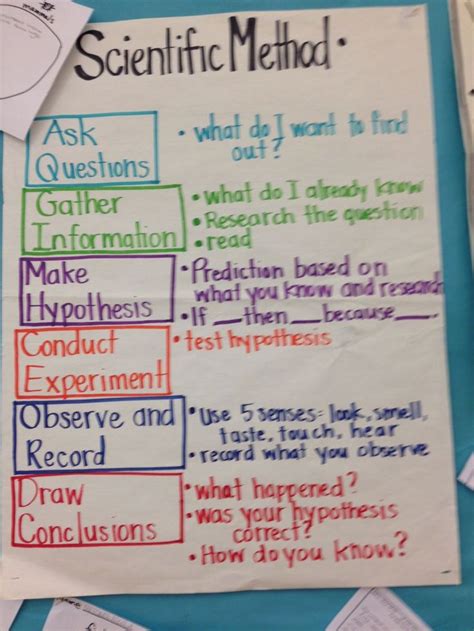 Pin by DEE on Science bulletin boards | Elementary science, 8th grade ...