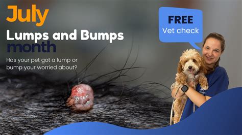 Dogs Lumps & Bumps Guide - Warren House Veterinary Centre