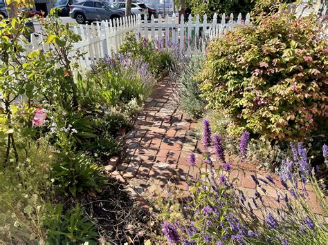 MUG | Mike's Urban Garden | MUG: Potrero Hill Cottage Garden