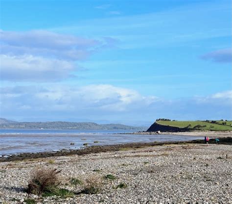 weekend roundup  morecambe bay