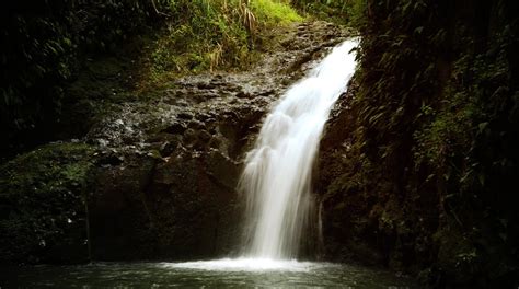 Kahuku Vacation Rentals, Hawaii: homes, house rentals & more | Vrbo