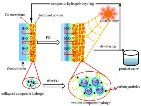 Water Free Full Text A Review Of Membrane Based Desalination