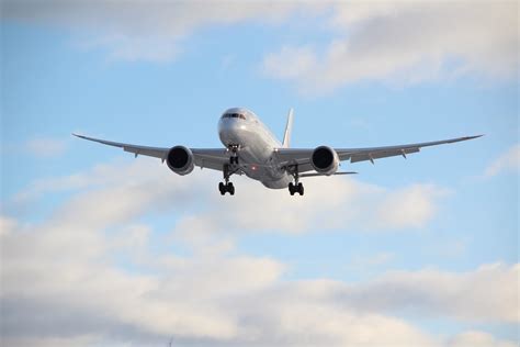 Iata Las Aerolíneas Salen De Los Números Rojos En 2023 Caribbean