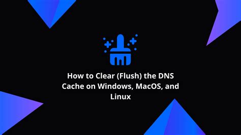 How To Clear Flush The Dns Cache On Windows Macos And Linux